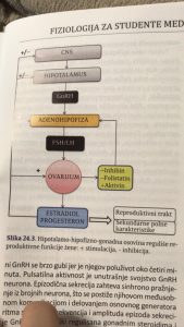 Slika 1. Hipotalamo-hipofizno-gonadna osovina reguliše reproduktivne funkcije
